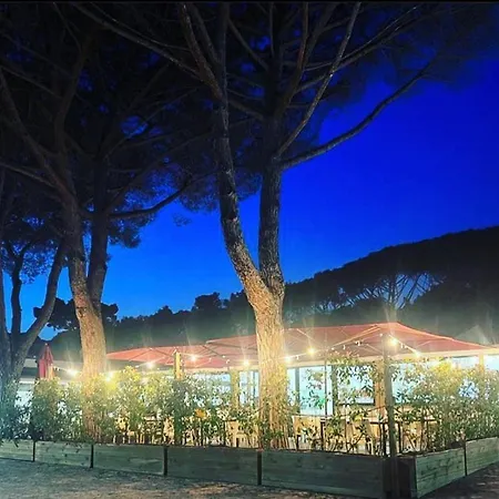 Del * Marina Di Bibbona